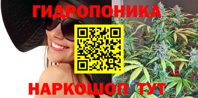 сатива Заводоуковск