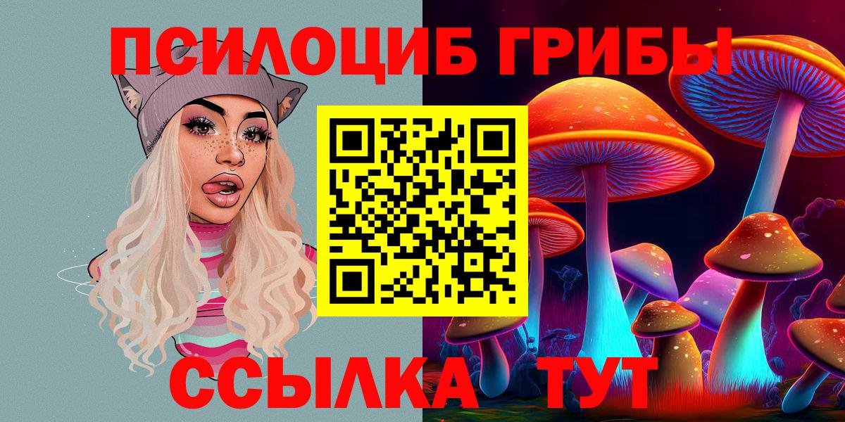 Лениногорск  Галлюциногенные грибы ЛСД  Вход с VPN 